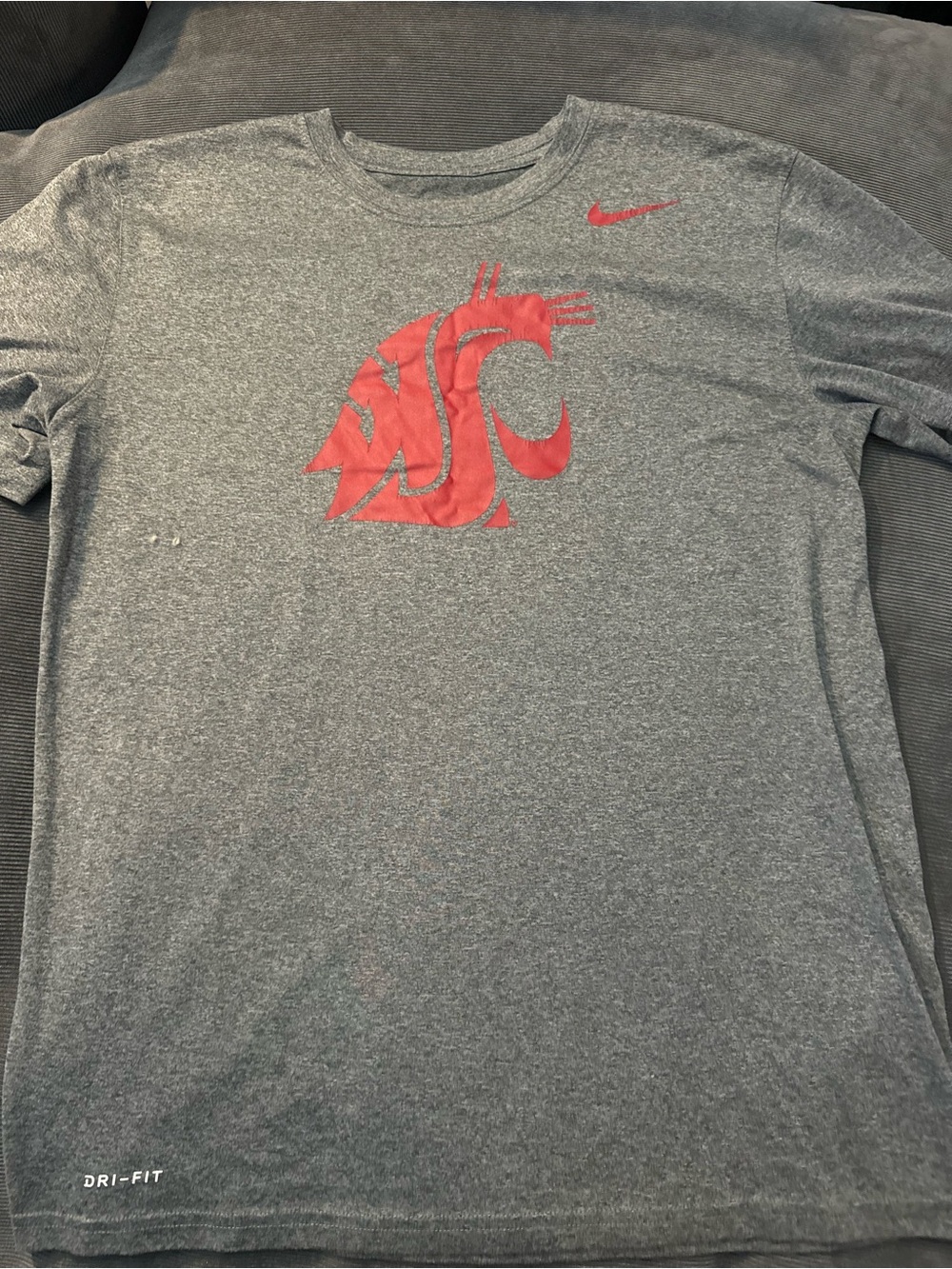 Nike Gray Short-Sleeve Dri-FIT T-Shirt with Red Logo
